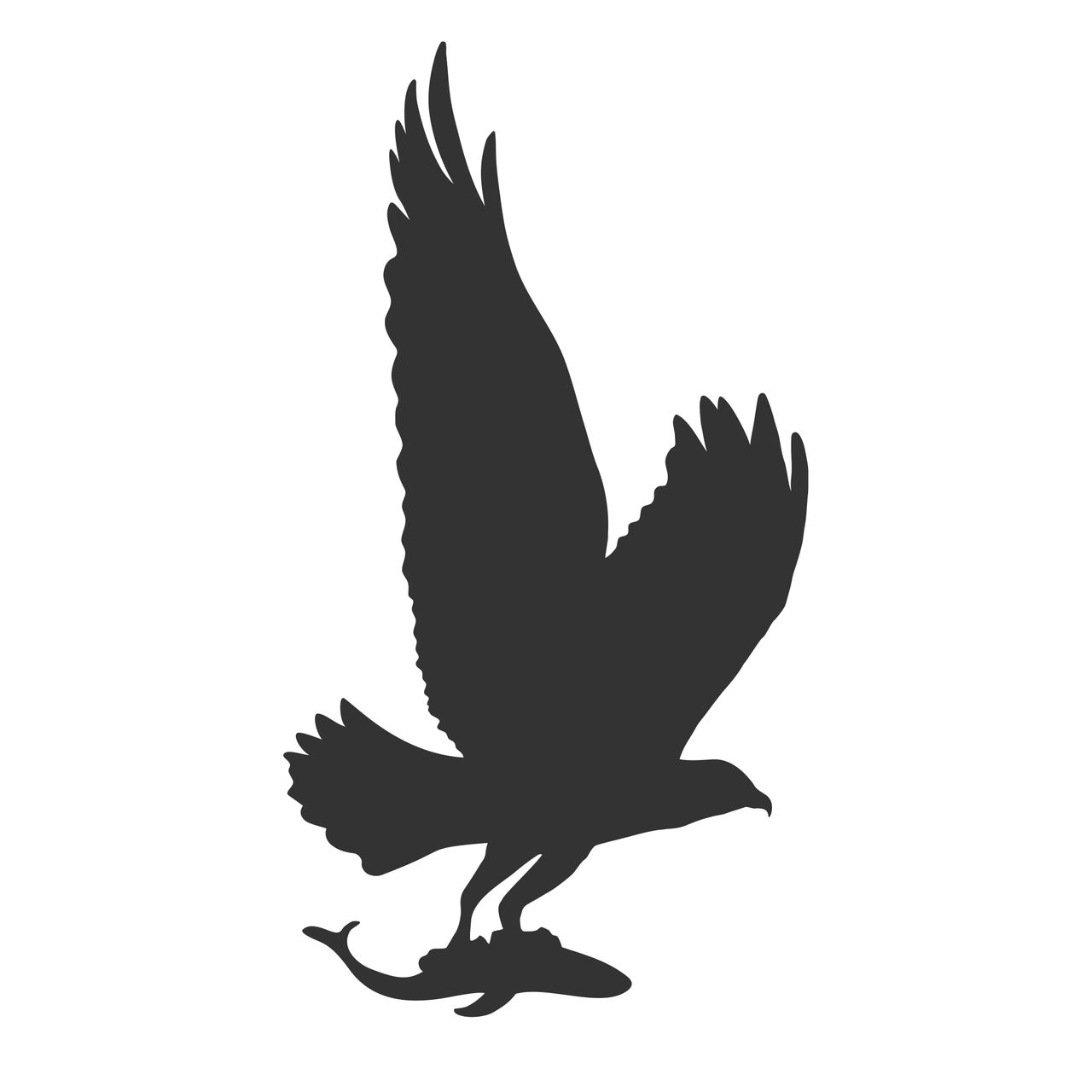 Keilbach Designprodukte Keilbach Vogelschutz, 40 x 75 cm, Hochleistungsfolie, anthrazit-metallic