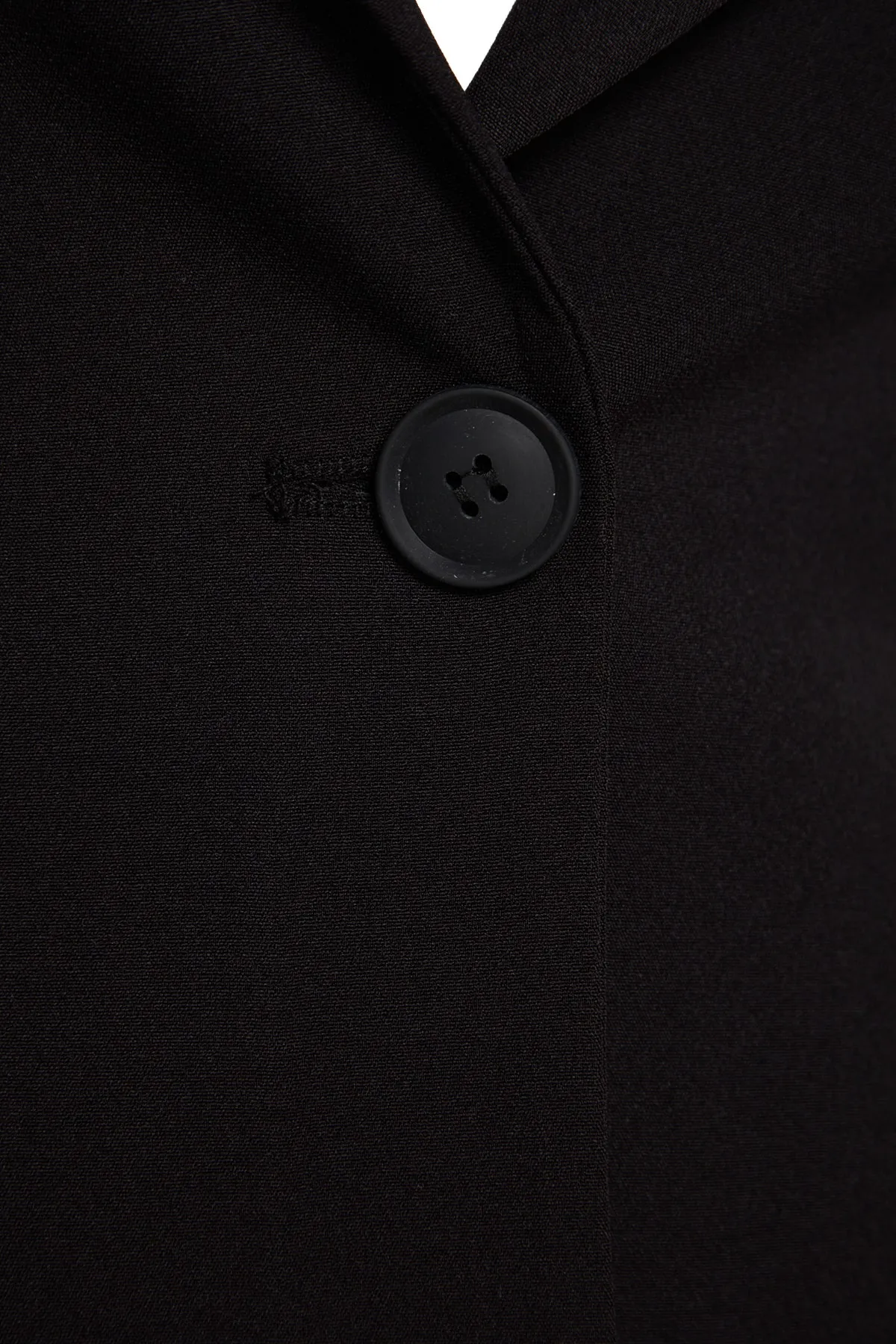 Trendyol Collection  Schwarze taillierte, gefütterte Blazerjacke aus Webstoff TWOAW24BC00047