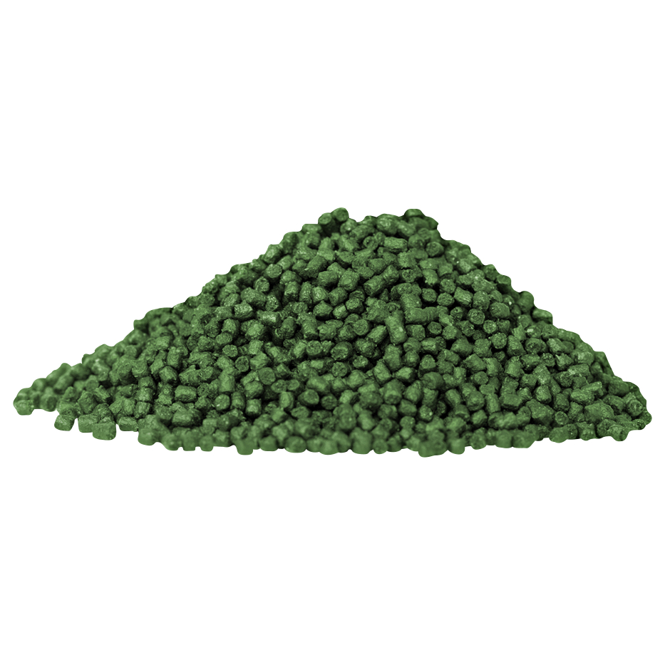 Daiwa Friedfischfutter Advantage Method Box (Green Betain)