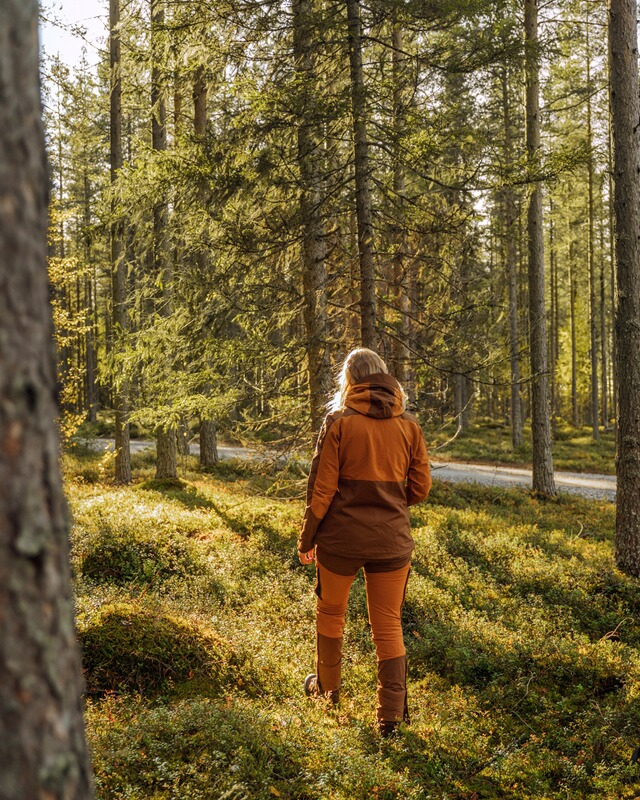 Pinewood Damen Hose Finnveden Hybrid