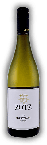 Julius Zotz, Muskateller, Qualitätswein, feinherb, 2022, Baden  Julius Zotz, Muskateller, Qualitätswein, feinherb, 2022, Baden  Mit feinen Muskat- und Litschinoten - aromatisch und frisch. Jahrgang 2022 - 0,75	 Liter - Vol 11,0%