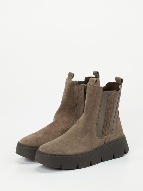 Stiefelette-17152490024 Gabor