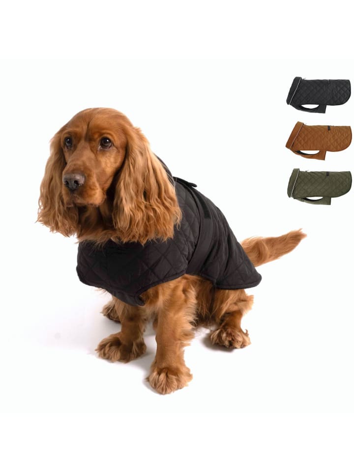 PAW WOW Hundejacke FRITZ Schwarz günstig kaufen
