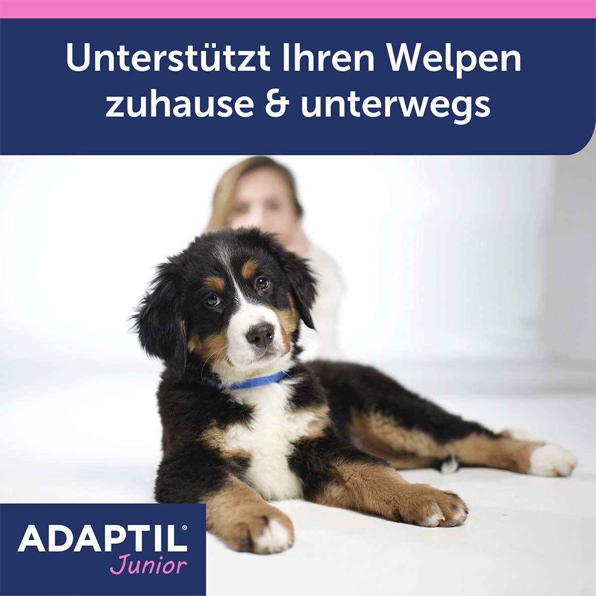 Adaptil Junior Halsband günstig kaufen bei ZooRoyal