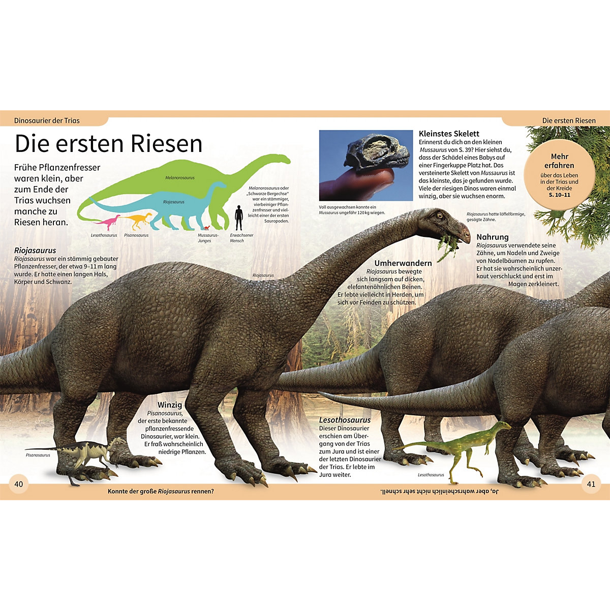 DK Kinderlexikon. Dinosaurier