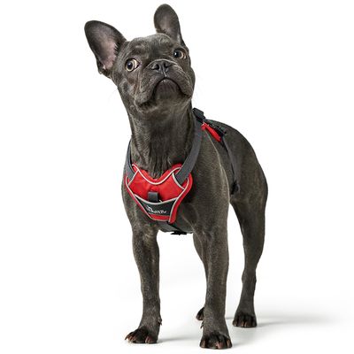 HUNTER Geschirr Divo, rot/grau