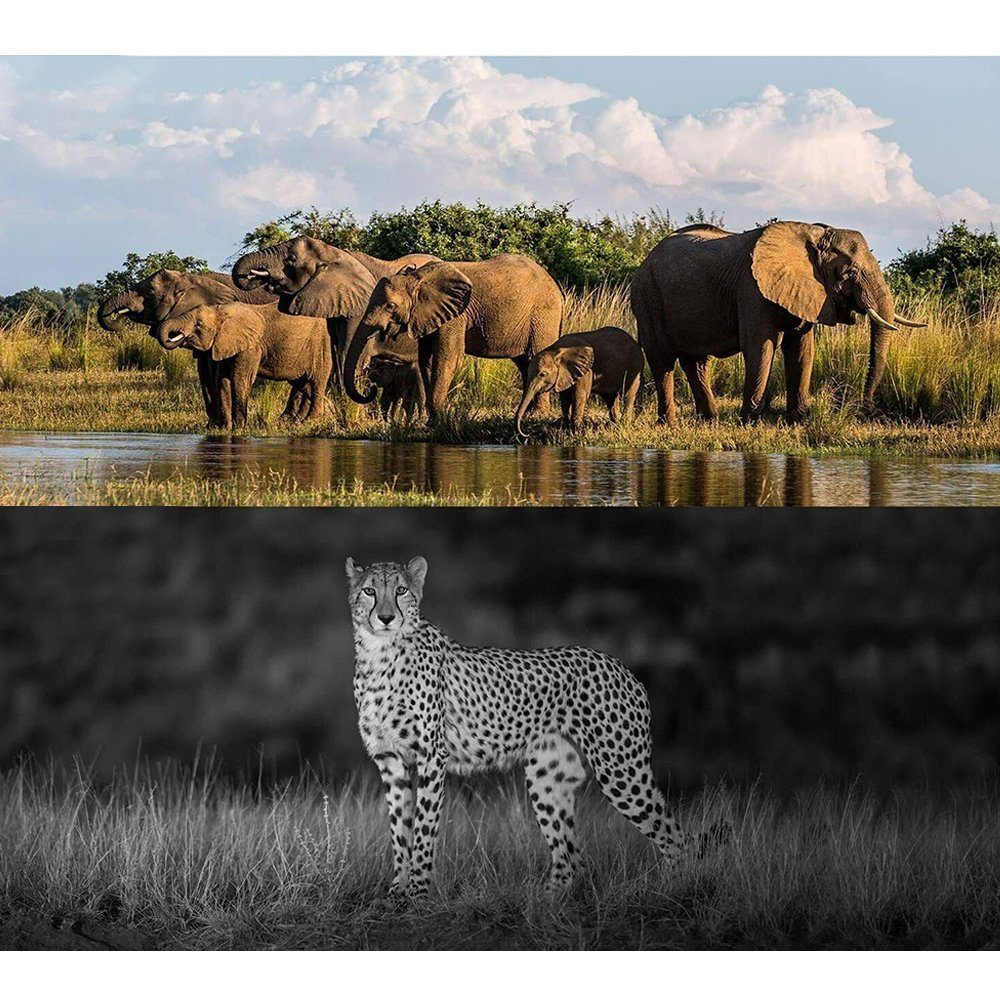 AKKEE Wildkamera mit Bewegungsmelder Nachtsicht Wildtierkamera Wildkamera (AuBenbereich, Superklare Nachtsicht, 1-tlg., 2.0 