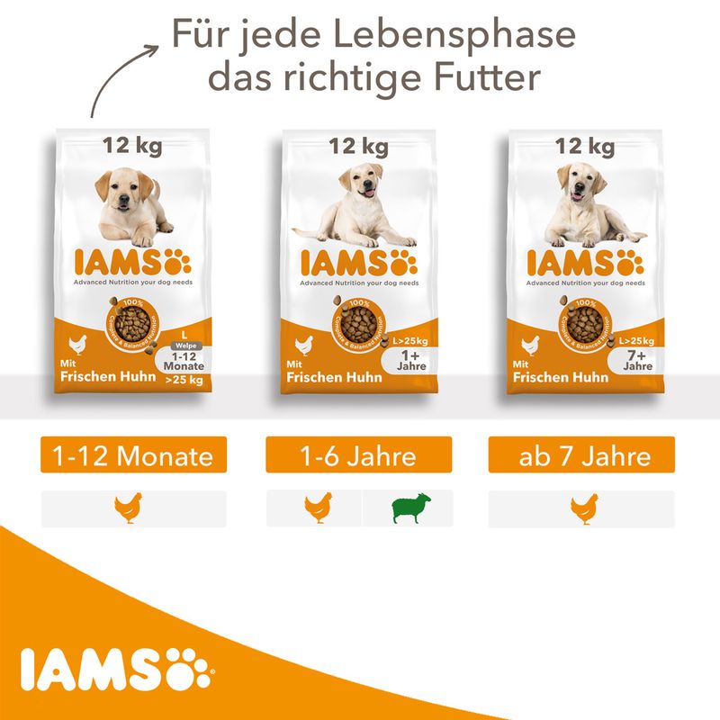 IAMS Advanced Nutrition Senior Large Dog mit Huhn