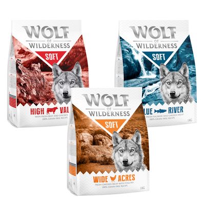 Wolf of Wilderness Adult Mix - getreidefrei