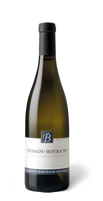 Bourgogne Domaine Bertrand Bachelet  Chassagne-Montrachet  2019  75 cl - Blanc
