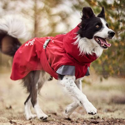 Hurtta Bare Winterjacke Late Harvest