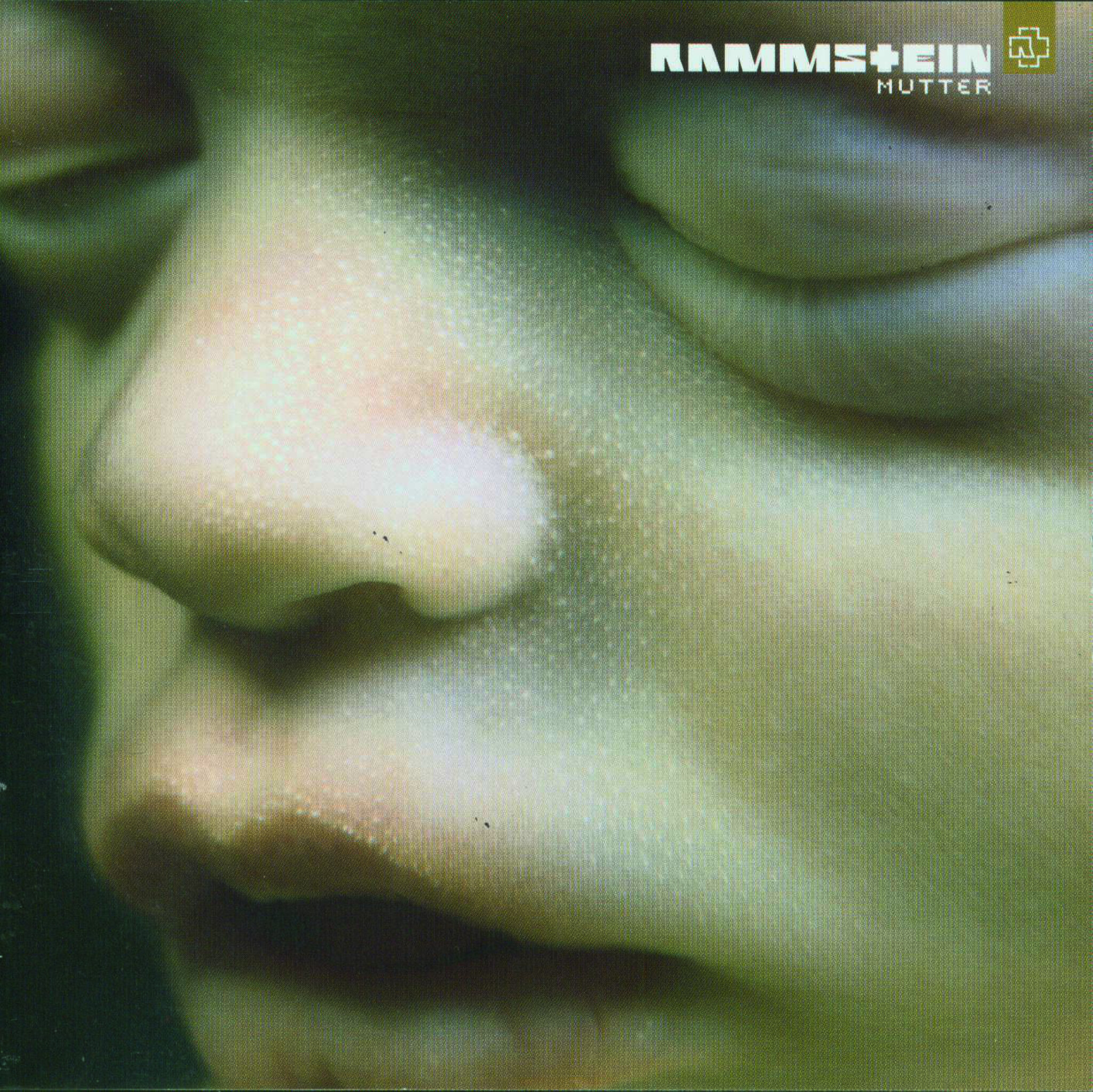 Rammstein Album ”Mutter”, Vinyl