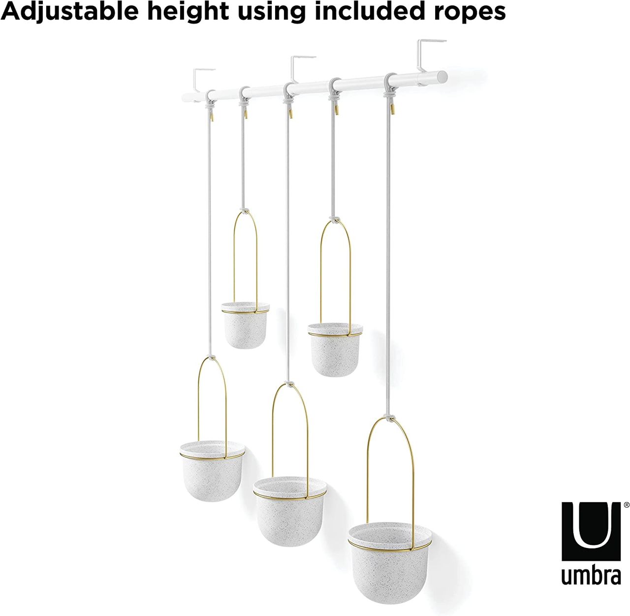 trends4cents Umbra Triflora BRASS Hängeblumentopf, Wandvase, Blumentopf, Blumenampel für Wand-& Deckenanbringung