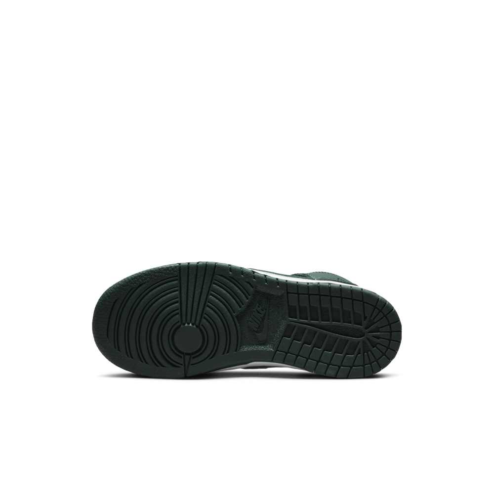 Nike DUNK HIGH DD2314-300 / bunt