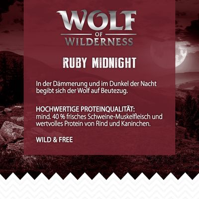 Wolf of Wilderness 