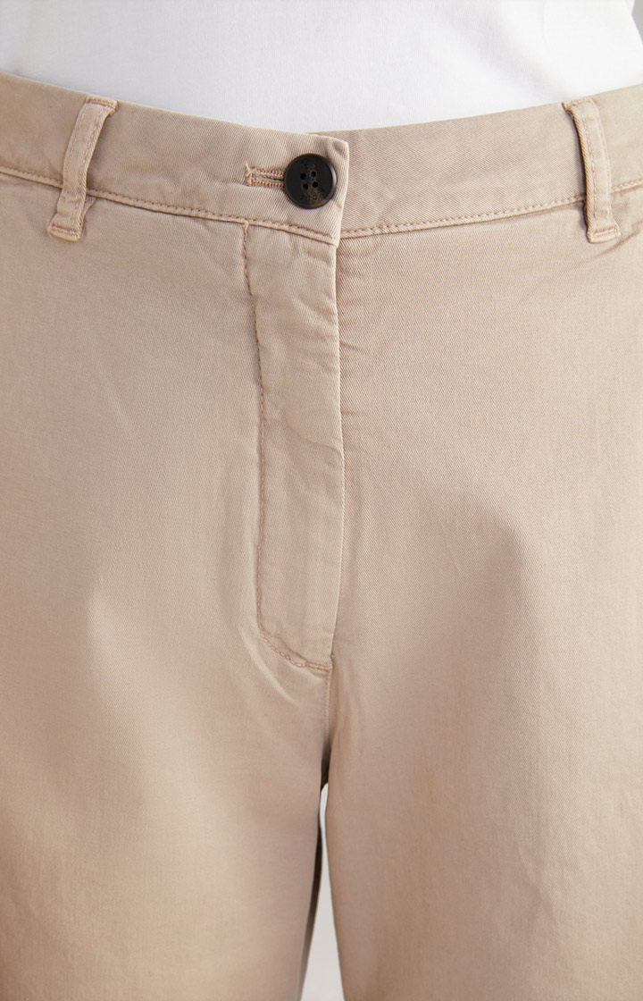 Chino in Camel