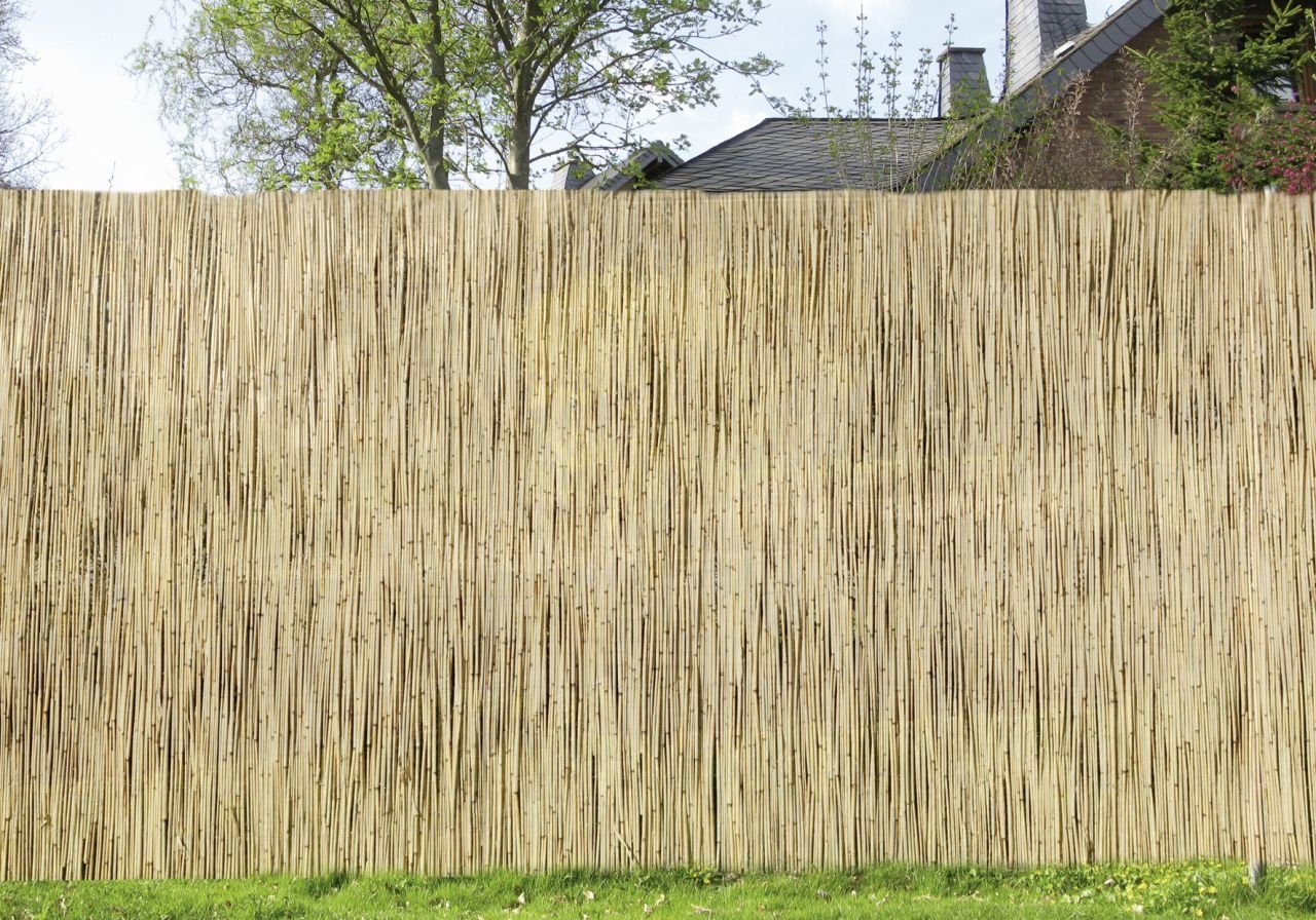 Trend Line Sichtschutzfolie Schilfrohrmatte 6 x 1 m