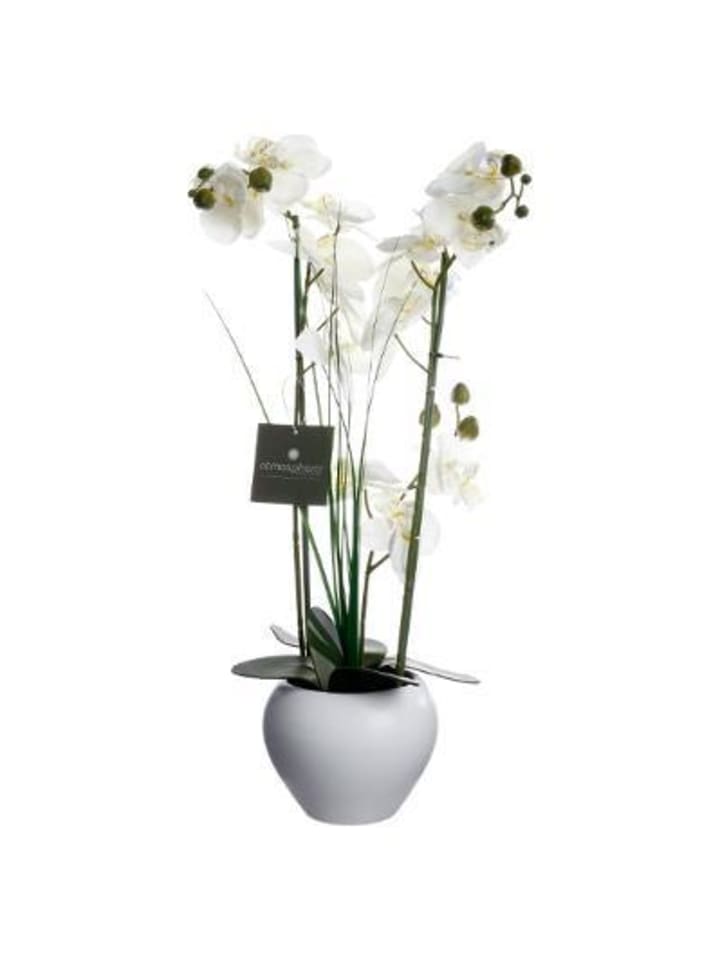 Atmosphera Créateur d'intérieur Künstliche Orchidee in mehrfarben günstig kaufen onesize