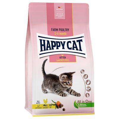 Happy Cat Young Kitten Land-Geflügel