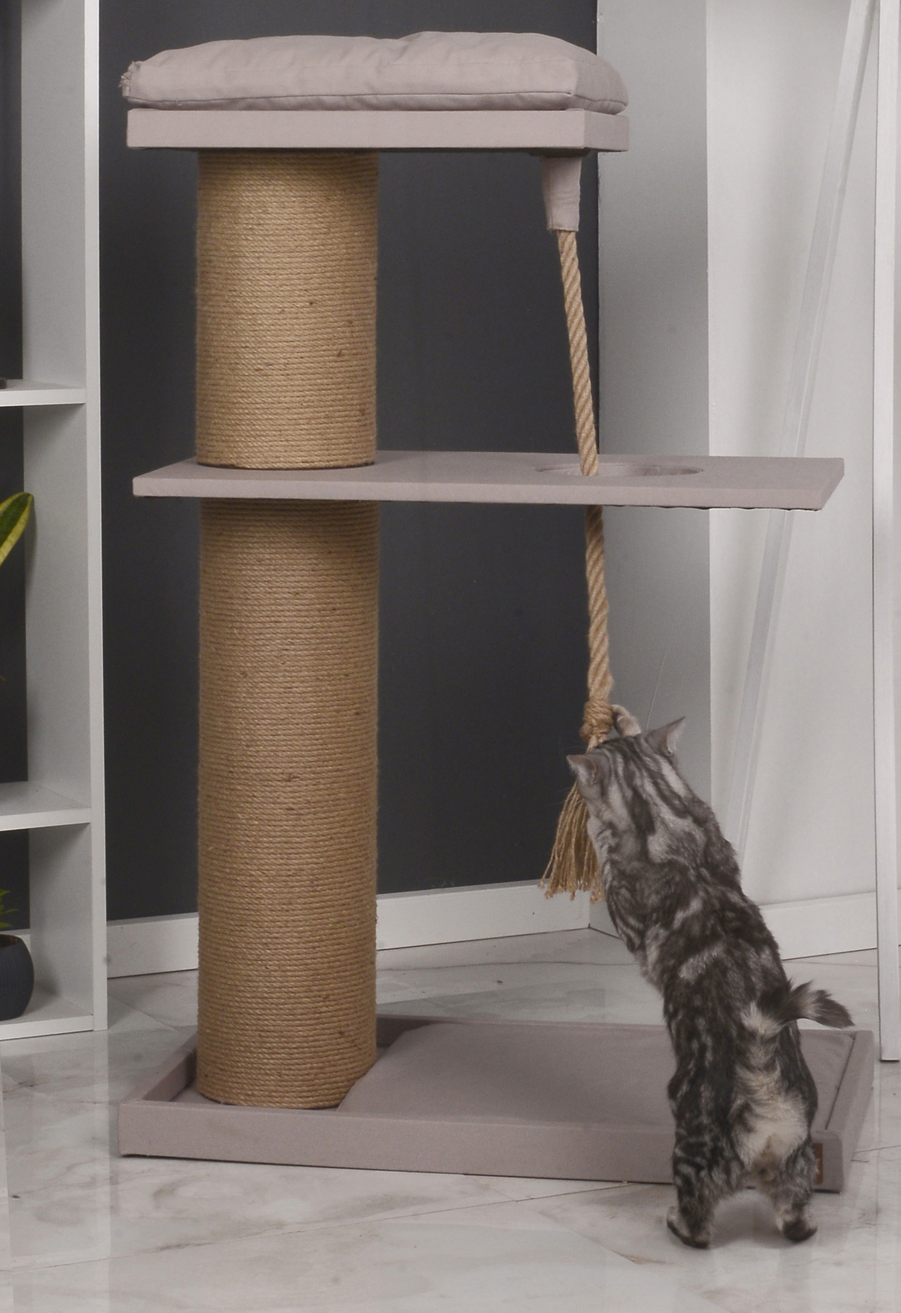 Petliving Kratzbäume Petliving Kratzbaum Lio XXL beige