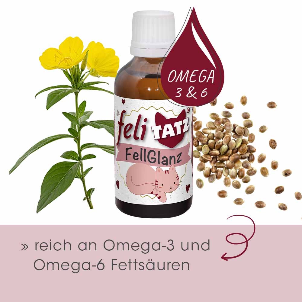 feliTATZ Fell- & Körperpflege feliTATZ FellGlanz