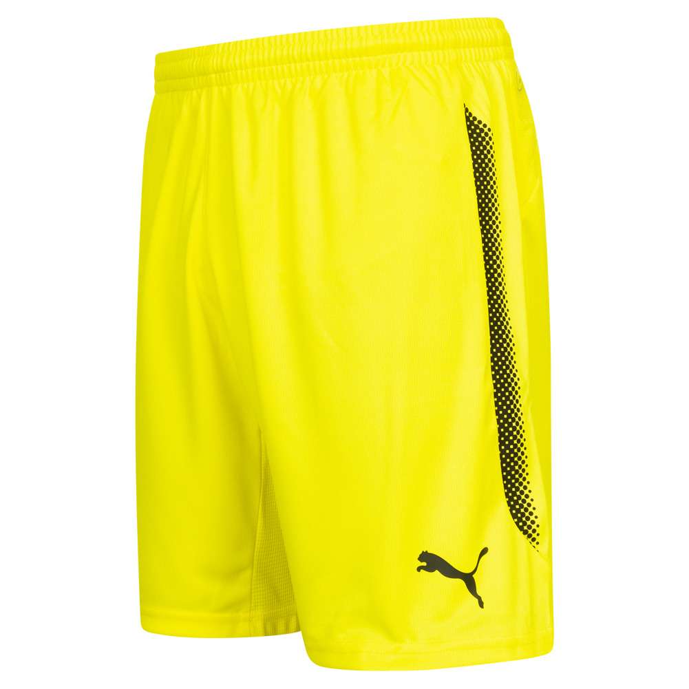 Grasshopper Club Zürich PUMA Shorts 753176-04
