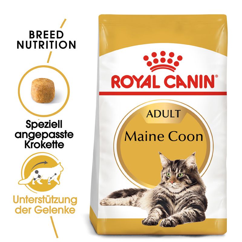 Royal Canin Maine Coon Adult zu TOP-Preisen