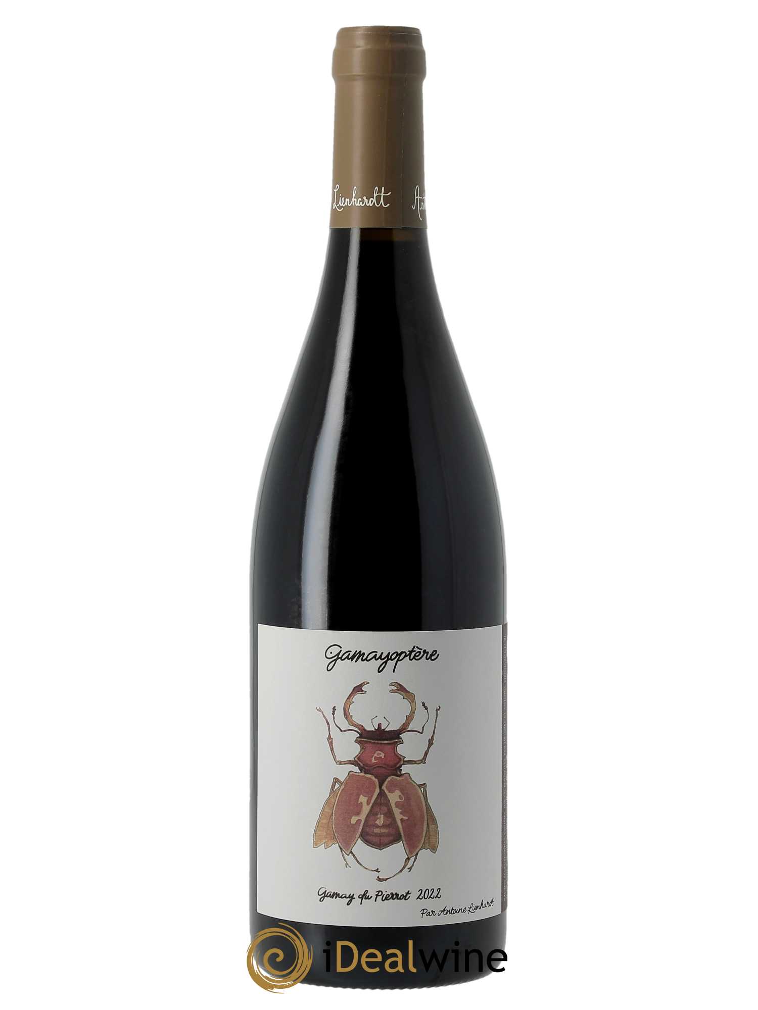 Coteaux Bourguignons Gamay du Pierrot Antoine Lienhardt  2022 - Lot de 1 Bouteille