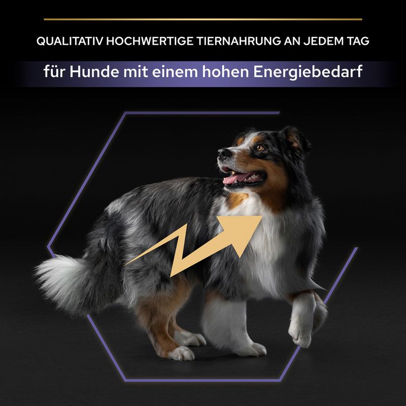 PURINA PRO PLAN All Size Adult Performance