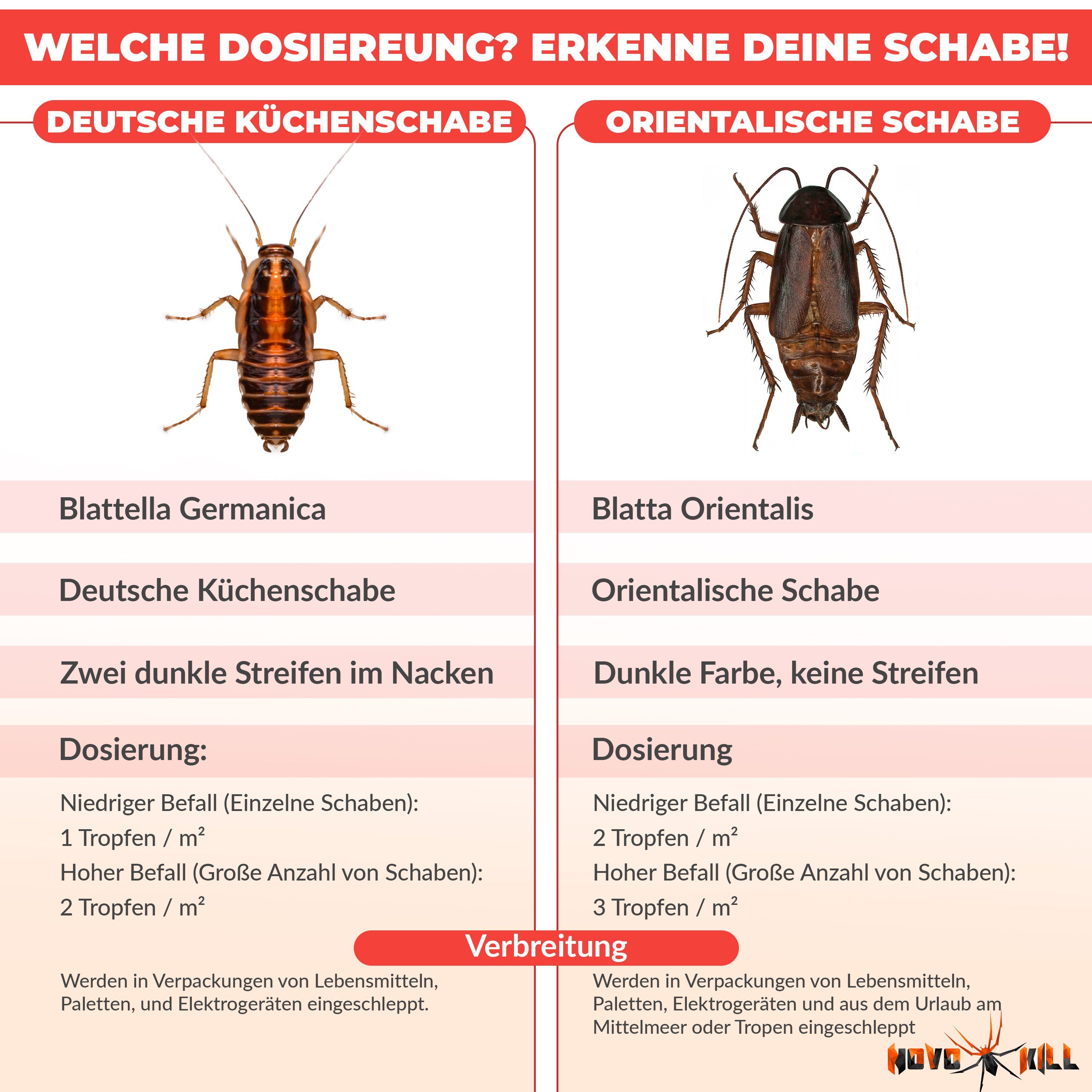 Catchmaster Insektenfalle Schabenfalle 100i, Starke Kakerlakenfallen mit integriertem Köder