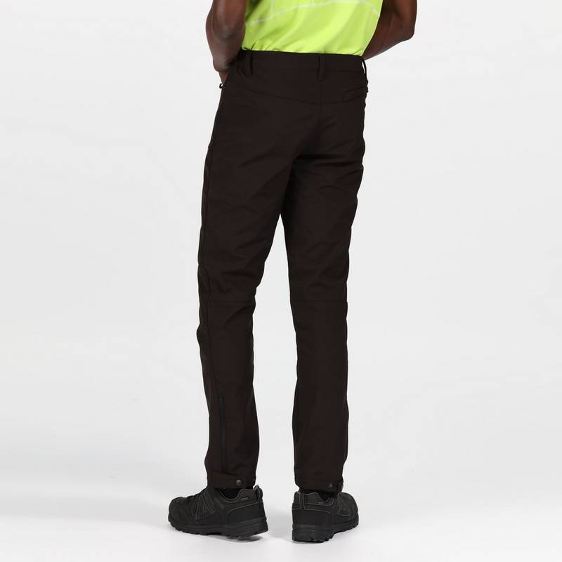 Regatta Geo II Wanderhose Herren