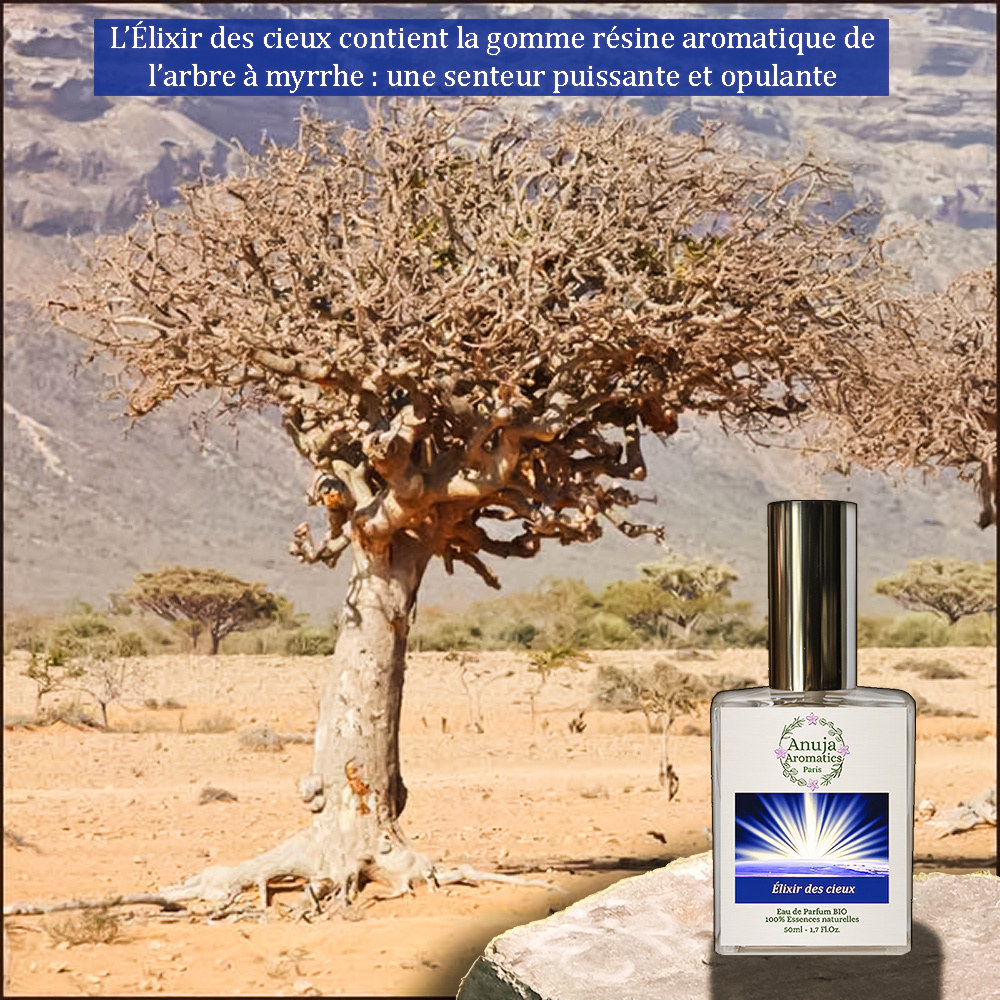 anuja aromatics Élixir des Cieux Eau de Parfum Bio aux Essences 100 % Naturelles