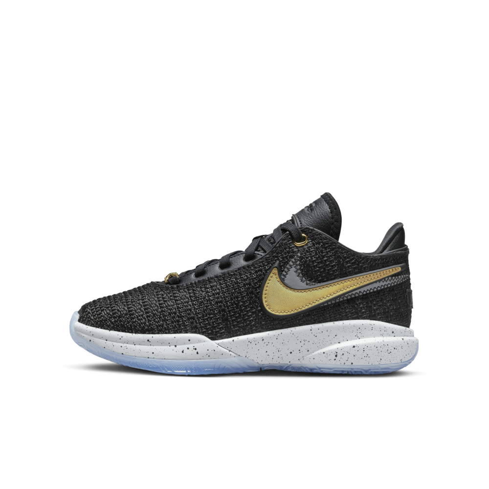 Nike Lebron Xx DQ8651-003 / schwarz