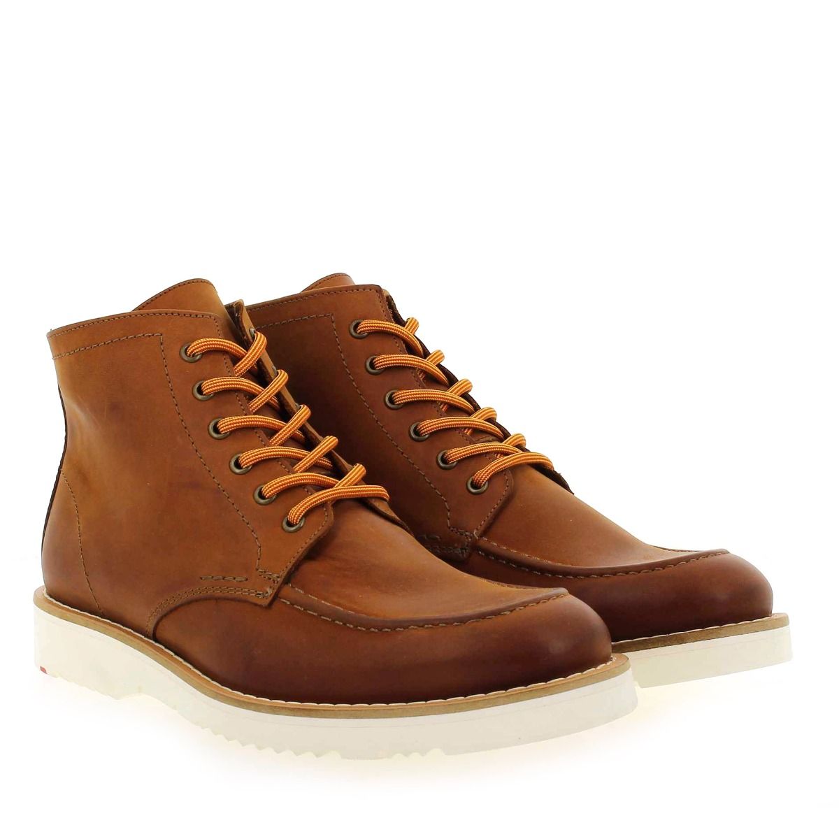 Lloyd  DEBAR - cognac