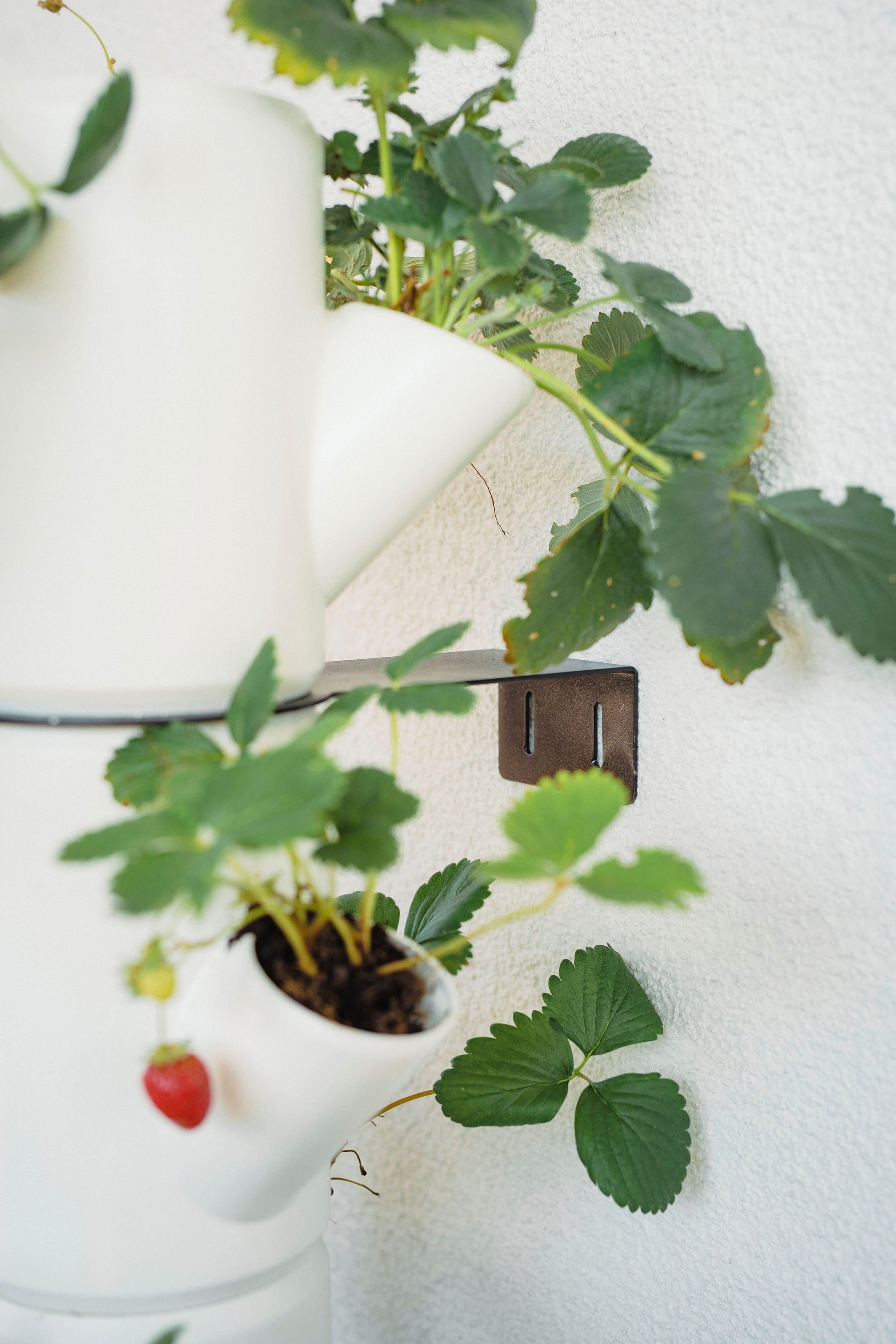 Gusta Garden Pflanzkübel SISSI STRAWBERRY Erdbeerbaum, 10 Etagen inkl. Untersetzer, Erdbeeren anbauen leicht gemacht