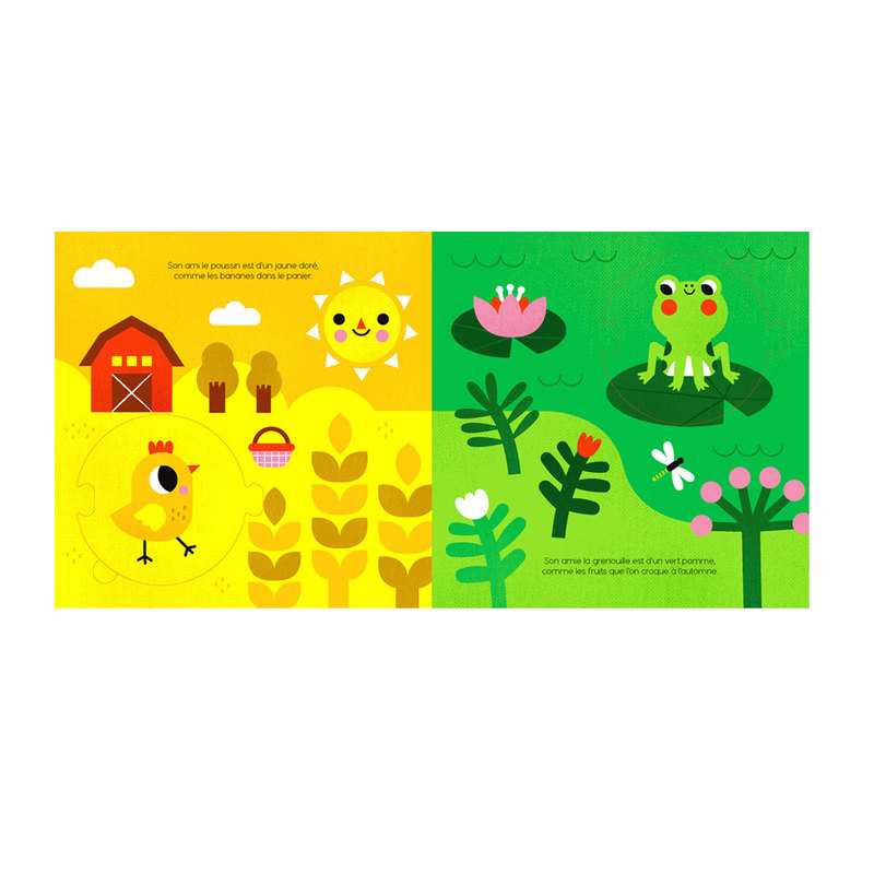 Livre Les couleurs de petit raton laveur - Fleurus