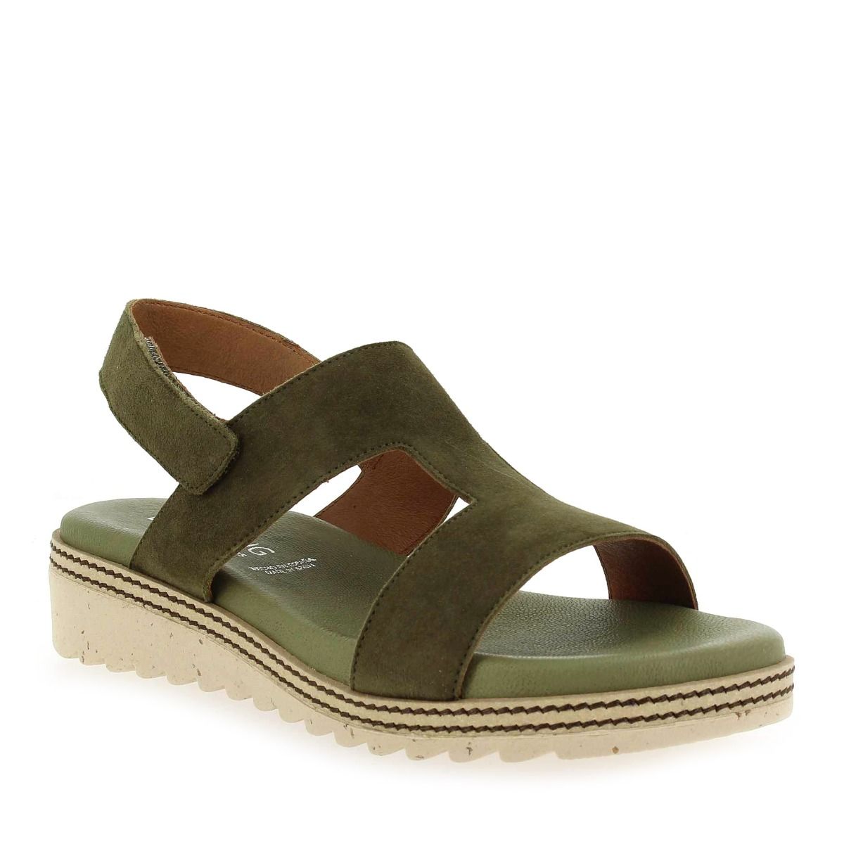 Dorking  D8775 - Kaki