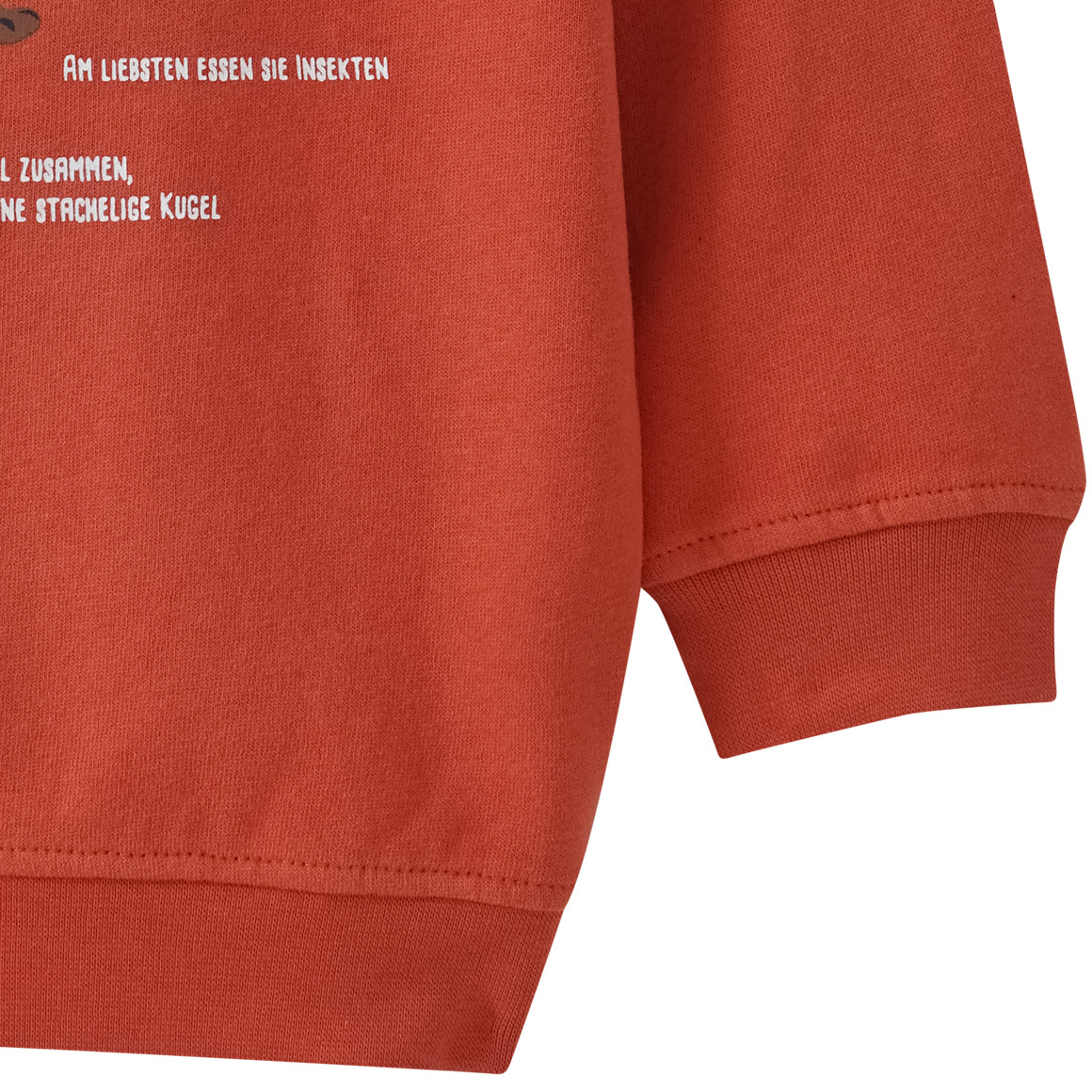 Kinder Sweatshirt mit Igel-Motiv