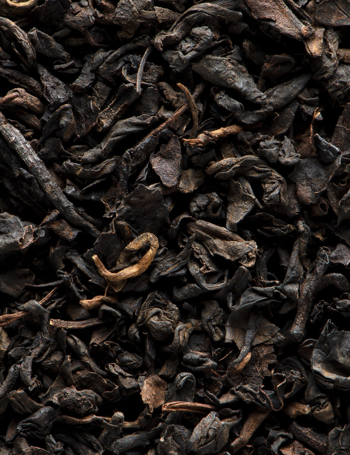 Pu-erh-24 sachets enveloppés