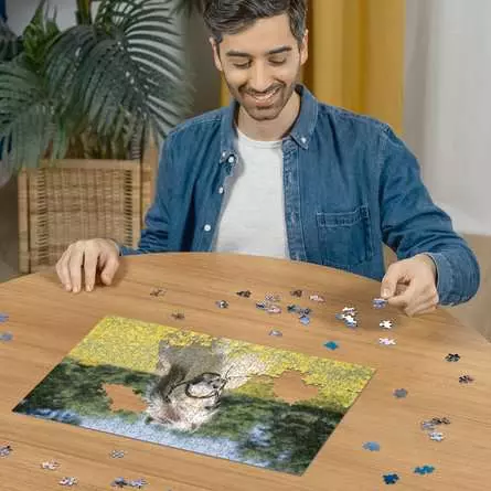 Puzzle 500 Teile - Pferd im Rapsfeld