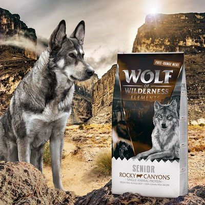 Wolf of Wilderness SENIOR 