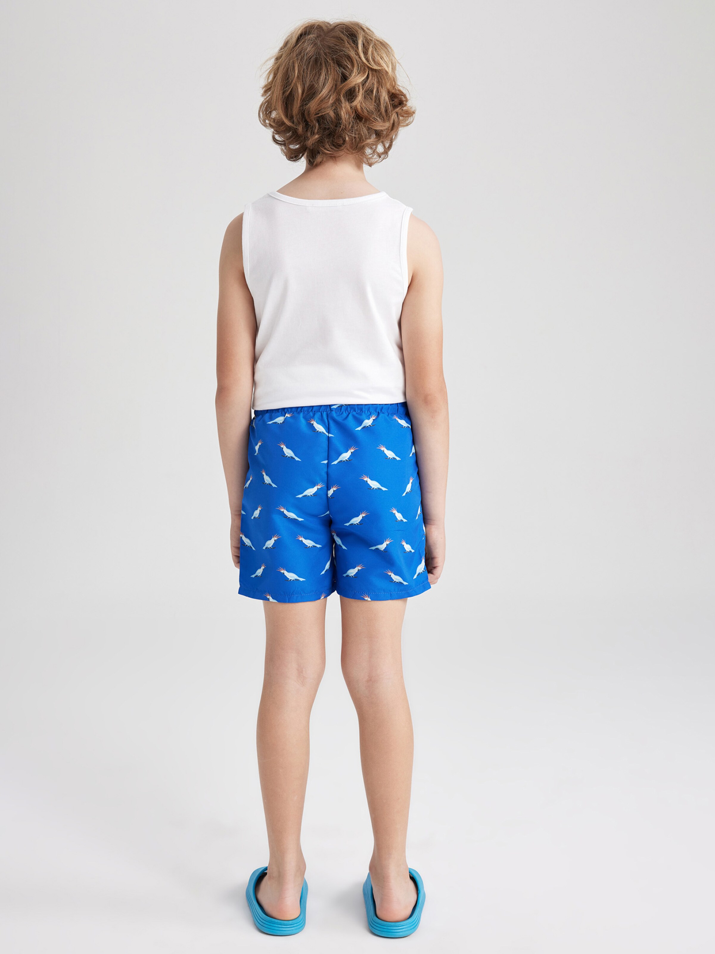 Board Shorts