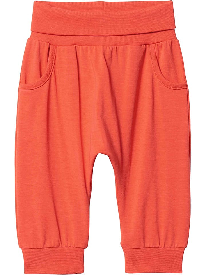 Steiff Sweathose orange Steiff 80 günstig kaufen 80