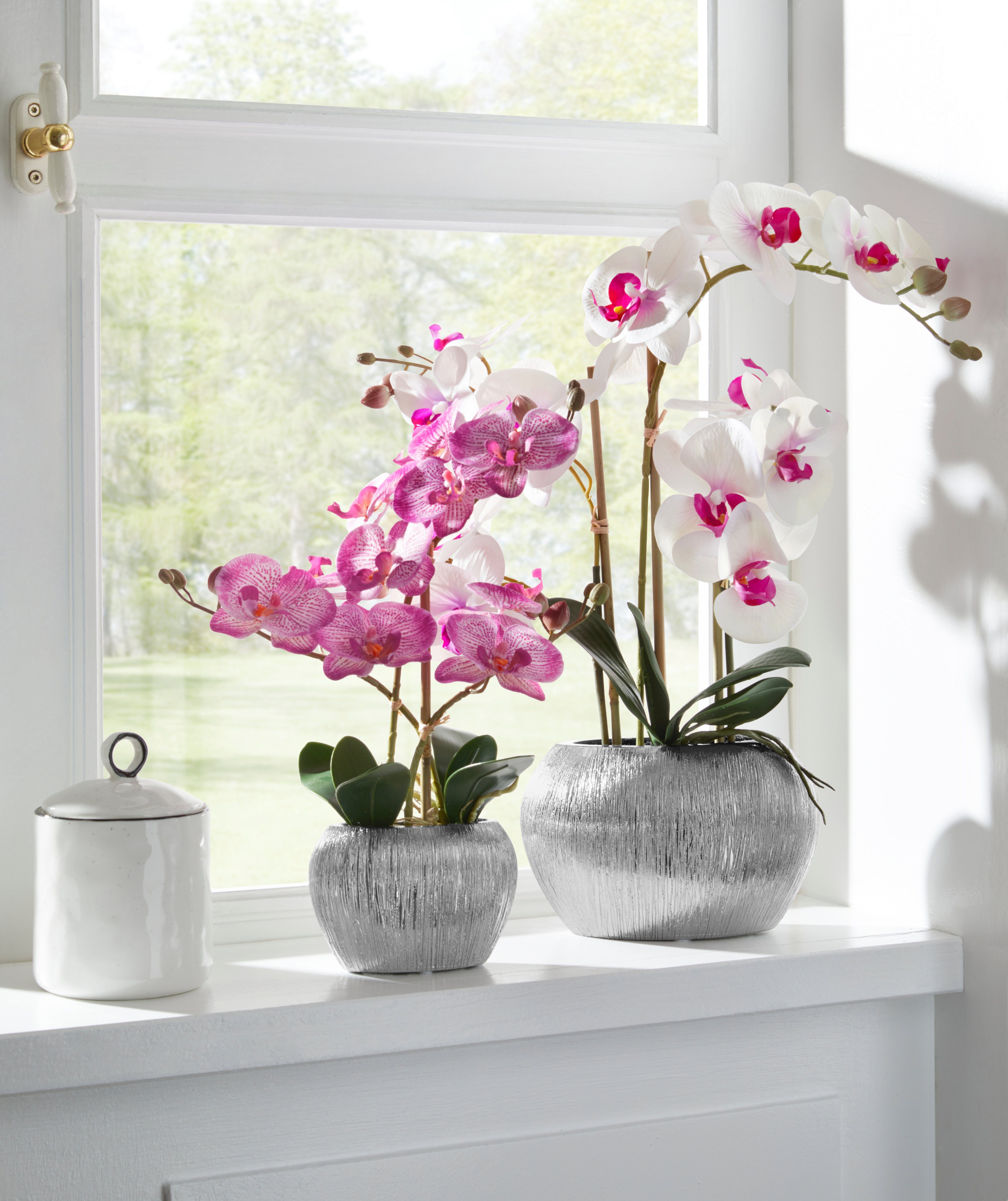 Kunstpflanze Orchidee, Home affaire, Höhe 38 cm, Kunstorchidee, im Topf