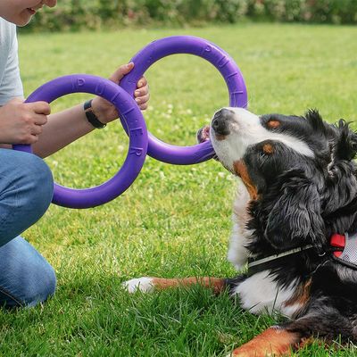 Ferplast Hundespielzeug Puller
