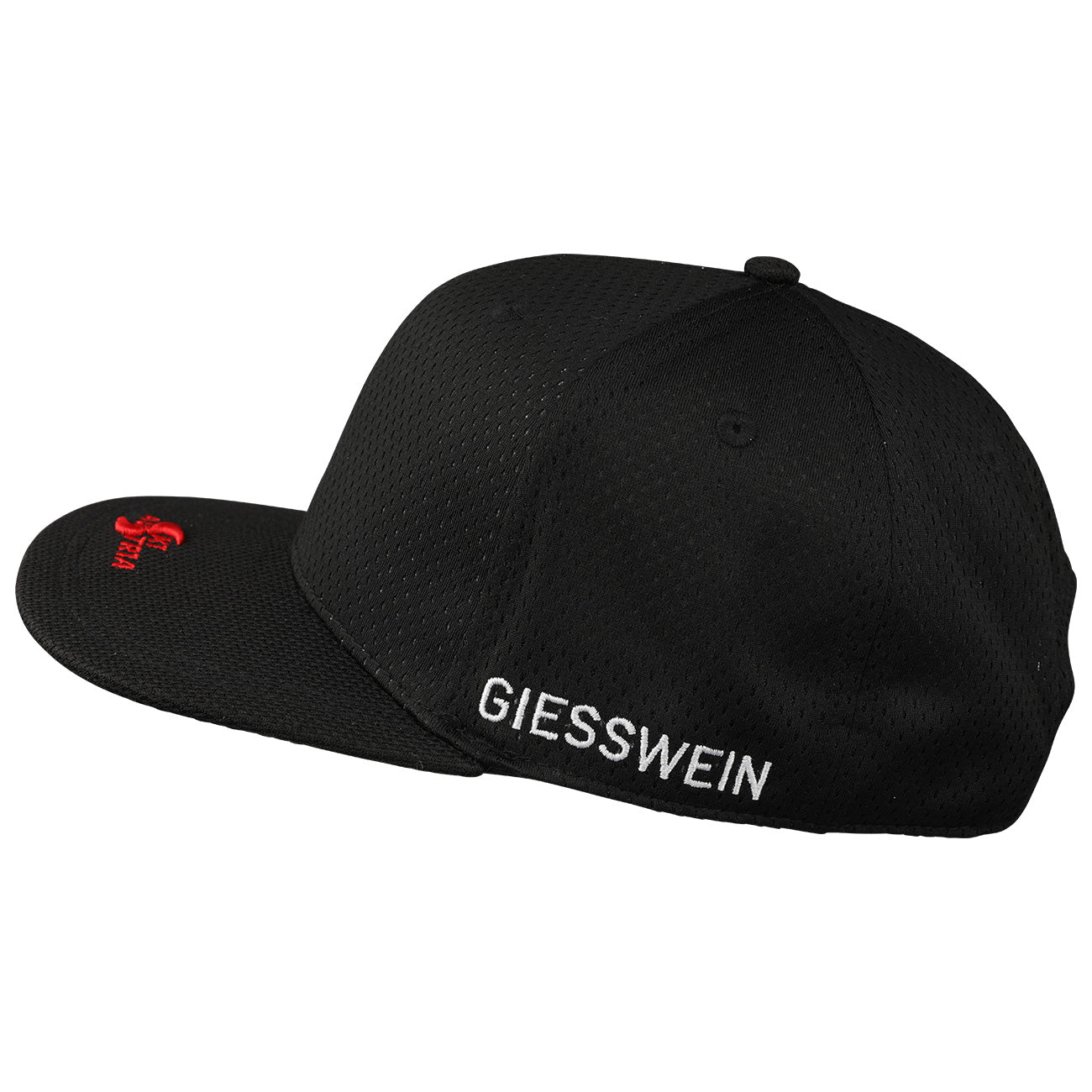 Ski Austria Snapback Mesh
