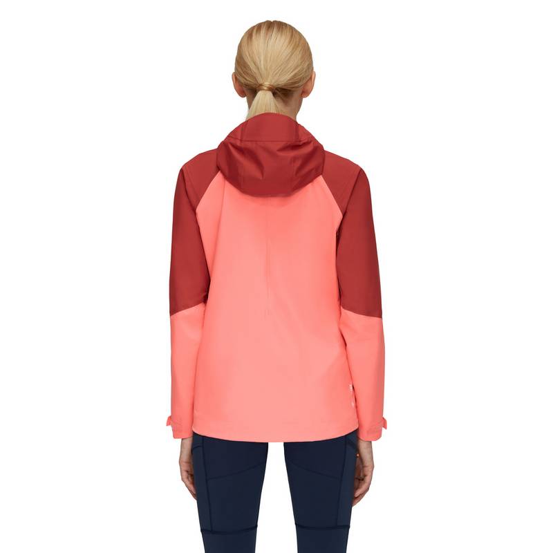 Mammut Convey Tour Hooded Hardshelljacke Damen