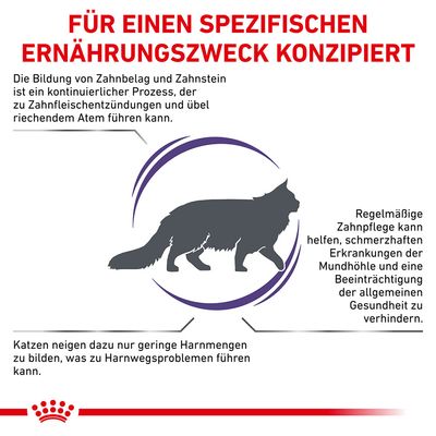 Royal Canin Expert Feline Dental