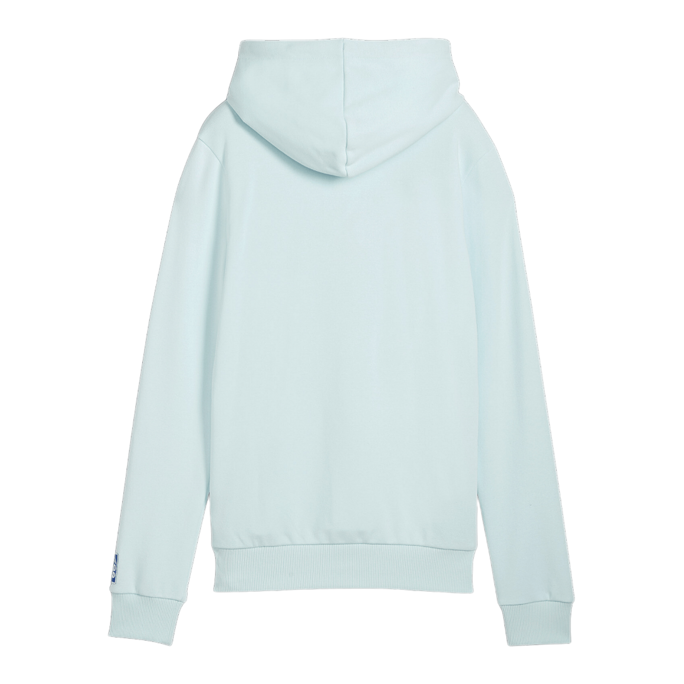 PUMA Handball Hoody Damen Blau F12