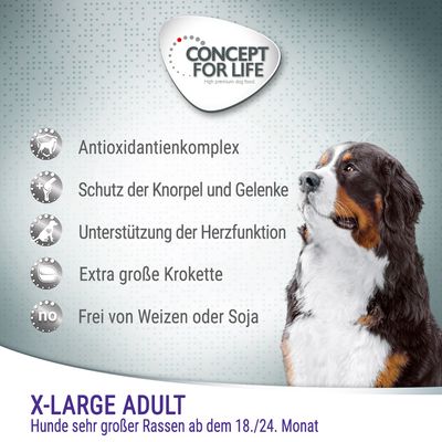Concept for Life X-Large Adult